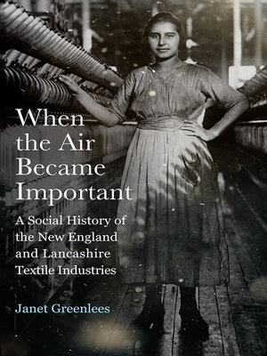 cover image of When the Air Became Important
